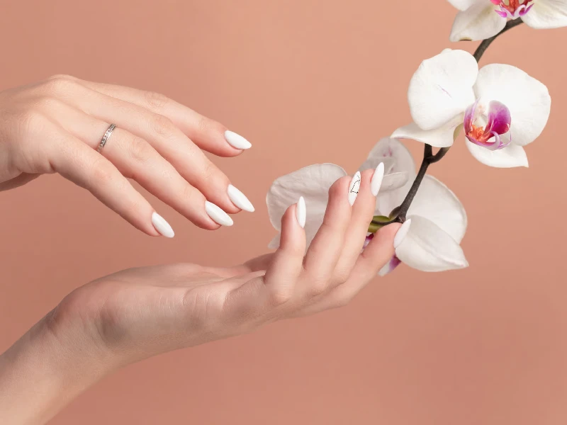 Hands of a beautiful well-groomed woman with feminine nails on a beige background. Manicure